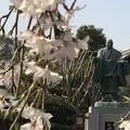 埼玉狭山市広瀬神社の写真_186996