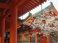 平安神宮の写真_187458
