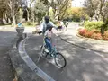 靱公園の写真_187546