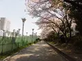 靱公園の写真_187554