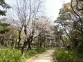 靱公園の写真_187555