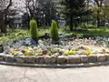 靱公園の写真_187556