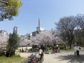 靱公園の写真_187557