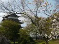高島城の写真_188508