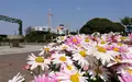 山下公園の写真_189353