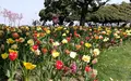 山下公園の写真_189354