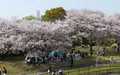 本牧山頂公園の写真_189366