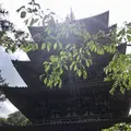 醍醐寺の写真_189408