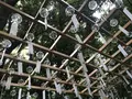 川越氷川神社の写真_189784