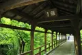 東福寺の写真_189979
