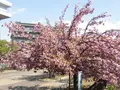 造幣博物館の写真_190932