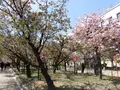 造幣博物館の写真_190934