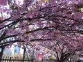 造幣博物館の写真_190935