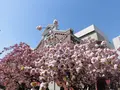 造幣博物館の写真_190936