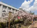 造幣博物館の写真_190939
