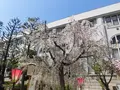 造幣博物館の写真_190941