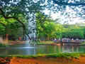 代々木公園の写真_191049