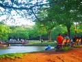 代々木公園の写真_191050