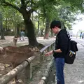 奈良公園の写真_191549