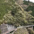 寸又峡温泉の写真_193690