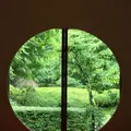 明月院（あじさい寺）の写真_194293