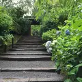 明月院（あじさい寺）の写真_194547