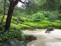 明月院（あじさい寺）の写真_194548