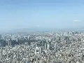 東京スカイツリーの写真_194669