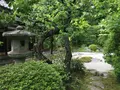 浄妙寺の写真_194828