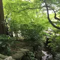 明月院（あじさい寺）の写真_198369