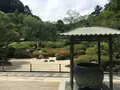 明月院（あじさい寺）の写真_198371