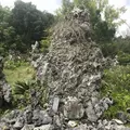 石庭の写真_202512