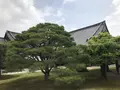 元離宮 二条城の写真_203293