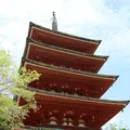 長谷寺の写真_203314
