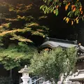 高麗神社の写真_204498