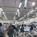 JAよこすか葉山　農産物直売所「すかなごっそ」の写真_204549
