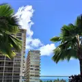 Trump International Hotel Waikikiの写真_204841