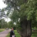 ロイヤル・ボタニック・ガーデンズ, キュー（Royal Botanic Gardens, Kew）の写真_205006