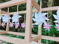 川越氷川神社の写真_205117
