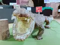 草津熱帯圏の写真_205429