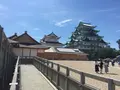 名古屋城の写真_205741