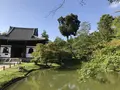 高台寺の写真_206444