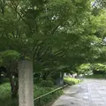 平等院の写真_206462