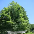 稲荷神社の写真_212596