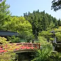 諏訪神社の写真_212615