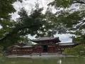 平等院の写真_214642