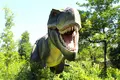 かつやま恐竜の森 長尾山総合公園の写真_217253