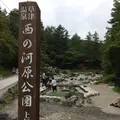 西の河原公園の写真_217391