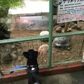 草津熱帯圏の写真_222921