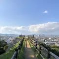丸亀城の写真_224499